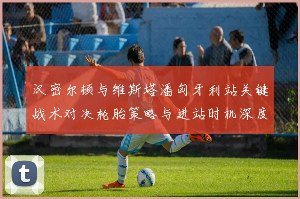 汉密尔顿与维斯塔潘匈牙利站关键战术对决轮胎策略与进站时机深度解读