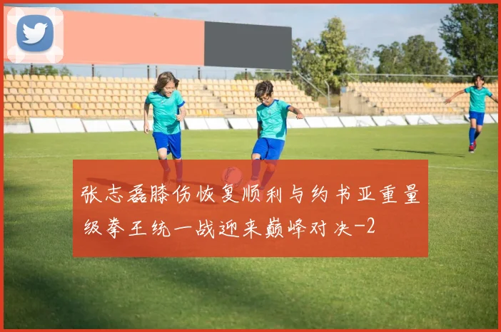 张志磊膝伤恢复顺利与约书亚重量级拳王统一战迎来巅峰对决