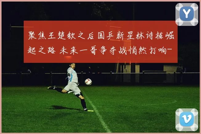 聚焦王楚钦之后国乒新星林诗栋崛起之路 未来一哥争夺战悄然打响