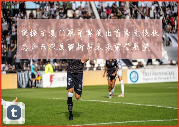 樊振东澳门冠军赛复出首秀竞技状态全面深度解析与未来前景展望