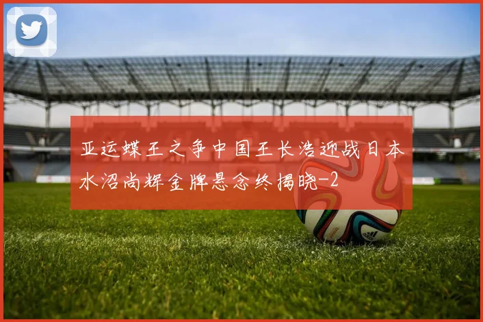 亚运蝶王之争中国王长浩迎战日本水沼尚辉金牌悬念终揭晓