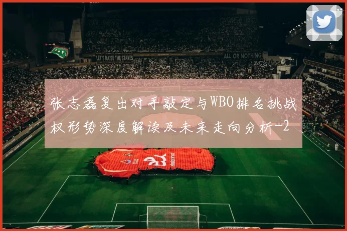 张志磊复出对手敲定与WBO排名挑战权形势深度解读及未来走向分析